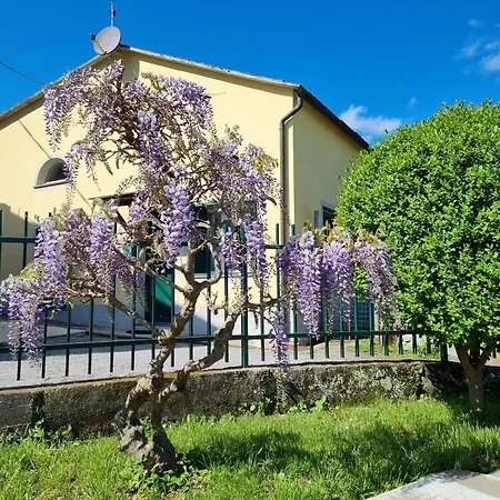 Hotel Eden *