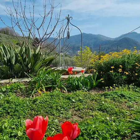 Eden * Levanto